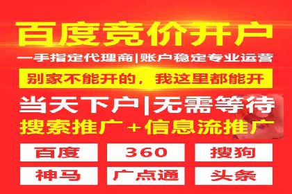 百度推广费用策略在竞争激烈市场的应用案例